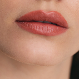 IN 唇膏 Lipstick 4g